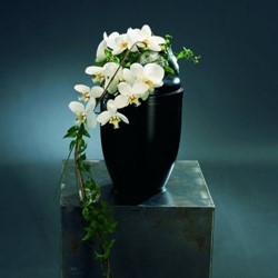 Zeige Details für Urnengesteck mit Orchideen - TF-160 Bild von Urnengesteck mit Orchideen - TF-160